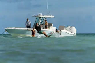 Thumbnail von Boston Whaler 280 Dauntless