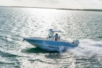 Thumbnail von Boston Whaler 280 Dauntless