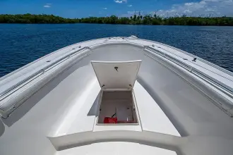Thumbnail von Buddy Davis 34 Center Console Lil Buddy