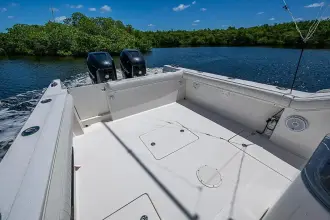 Thumbnail von Buddy Davis 34 Center Console Lil Buddy