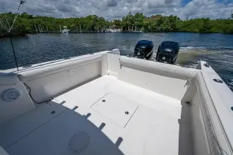 Thumbnail von Buddy Davis 34 Center Console Lil Buddy