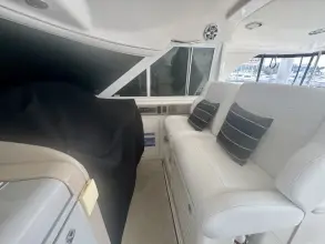 Thumbnail von Sea Ray 480 Motor Yacht