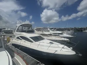 Thumbnail von Sea Ray 450 Sedan Bridge Livin’ The Dream