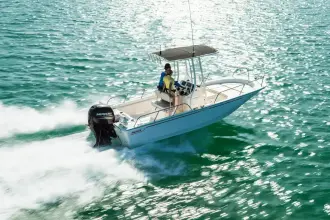 Thumbnail von Boston Whaler 190 Montauk