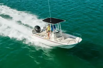 Thumbnail von Boston Whaler 190 Montauk