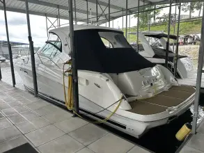 Sea Ray 420 DA