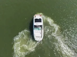 Thumbnail von Sea Ray 320 Sundancer
