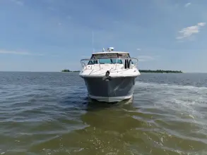 Thumbnail von Sea Ray 320 Sundancer