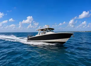Pursuit S 358 Sport Disconnected