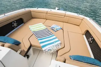 Thumbnail von Sea Ray SDX 290 Outboard