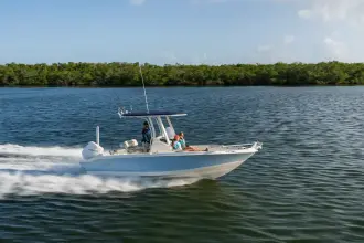 Boston Whaler 220 Dauntless