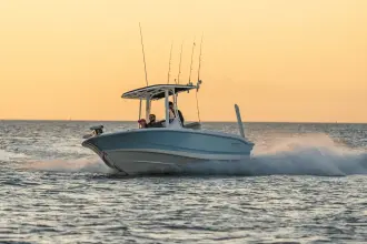 Thumbnail von Boston Whaler 220 Dauntless