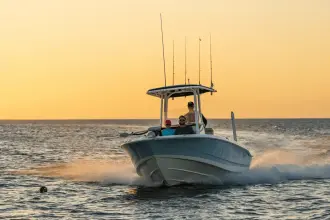 Thumbnail von Boston Whaler 220 Dauntless