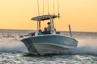 Thumbnail von Boston Whaler 220 Dauntless