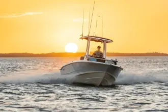 Thumbnail von Boston Whaler 220 Dauntless