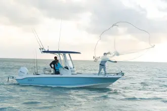 Thumbnail von Boston Whaler 220 Dauntless
