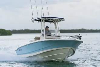 Thumbnail von Boston Whaler 220 Dauntless