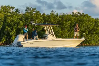Thumbnail von Boston Whaler 220 Dauntless
