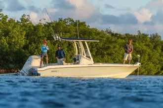 Thumbnail von Boston Whaler 220 Dauntless