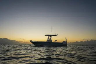 Thumbnail von Boston Whaler 220 Dauntless