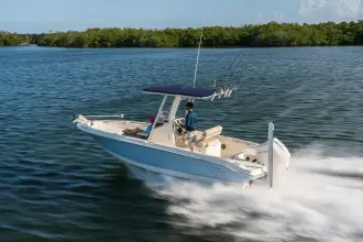 Thumbnail von Boston Whaler 220 Dauntless