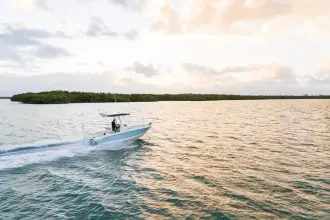 Thumbnail von Boston Whaler 220 Dauntless