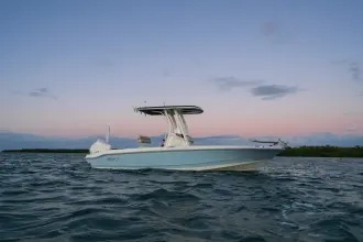 Thumbnail von Boston Whaler 220 Dauntless