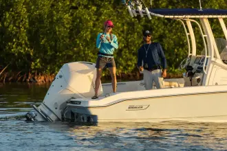 Thumbnail von Boston Whaler 220 Dauntless