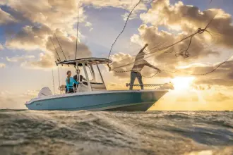 Thumbnail von Boston Whaler 220 Dauntless