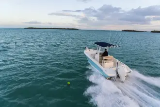 Thumbnail von Boston Whaler 220 Dauntless