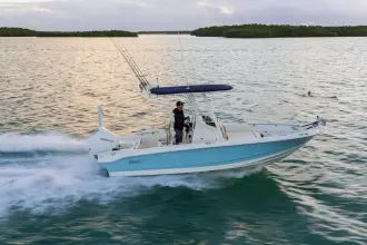 Thumbnail von Boston Whaler 220 Dauntless