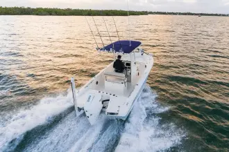 Thumbnail von Boston Whaler 220 Dauntless