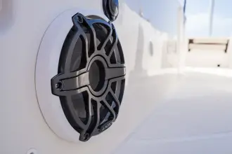 Thumbnail von Boston Whaler 220 Dauntless