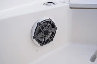 Thumbnail von Boston Whaler 220 Dauntless