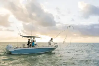 Thumbnail von Boston Whaler 220 Dauntless