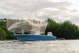 Thumbnail von Boston Whaler 220 Dauntless