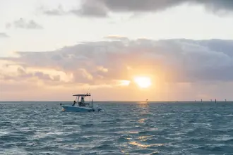 Thumbnail von Boston Whaler 220 Dauntless