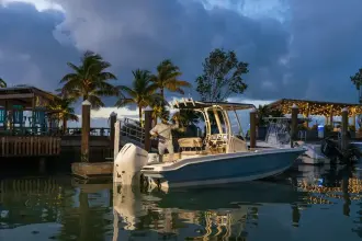 Thumbnail von Boston Whaler 220 Dauntless
