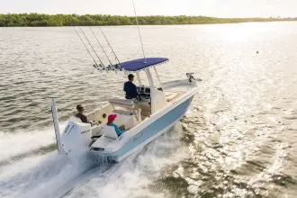 Thumbnail von Boston Whaler 220 Dauntless