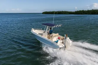 Thumbnail von Boston Whaler 220 Dauntless