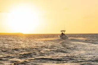 Thumbnail von Boston Whaler 220 Dauntless