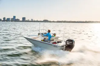 Thumbnail von Boston Whaler 150 Montauk