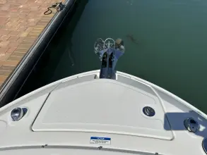 Thumbnail von Sea Ray SLX 310 Outboard