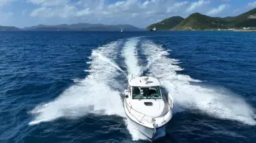 Thumbnail von Boston Whaler 315 Conquest Whaler