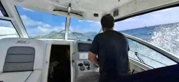Thumbnail von Boston Whaler 315 Conquest Whaler