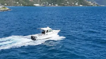 Thumbnail von Boston Whaler 315 Conquest Whaler