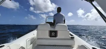 Thumbnail von Zodiac Medline 7.5 Zodiac