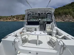 Thumbnail von Glacier Bay 3470 Carpe Ahora