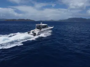Thumbnail von Glacier Bay 3470 Carpe Ahora