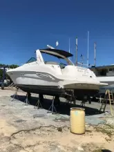 Thumbnail von Sea Ray 330 Sundancer  Liza Jane